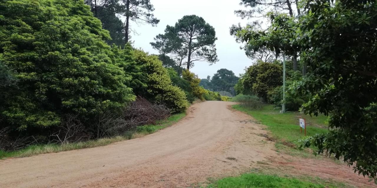 Las Chozas Punta del Este Zimmer foto