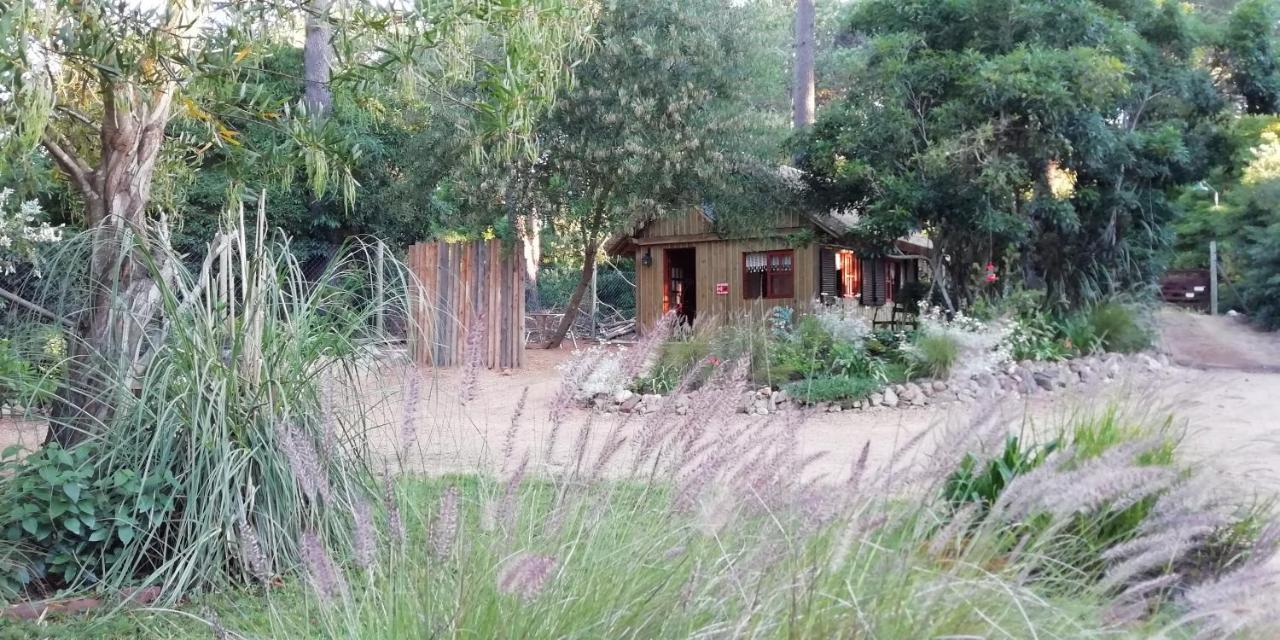 Las Chozas Punta del Este Zimmer foto