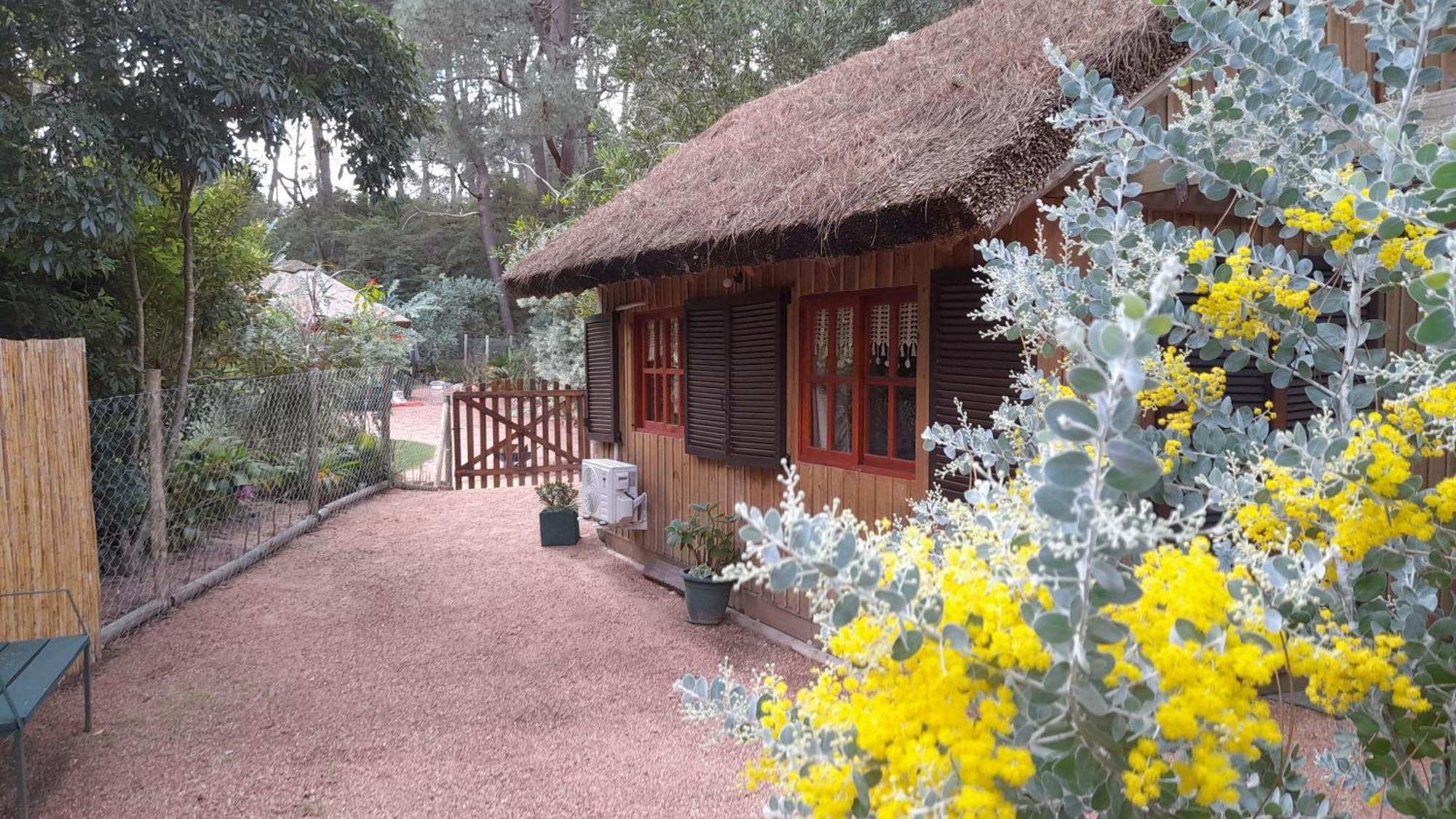 Las Chozas Punta del Este Exterior foto